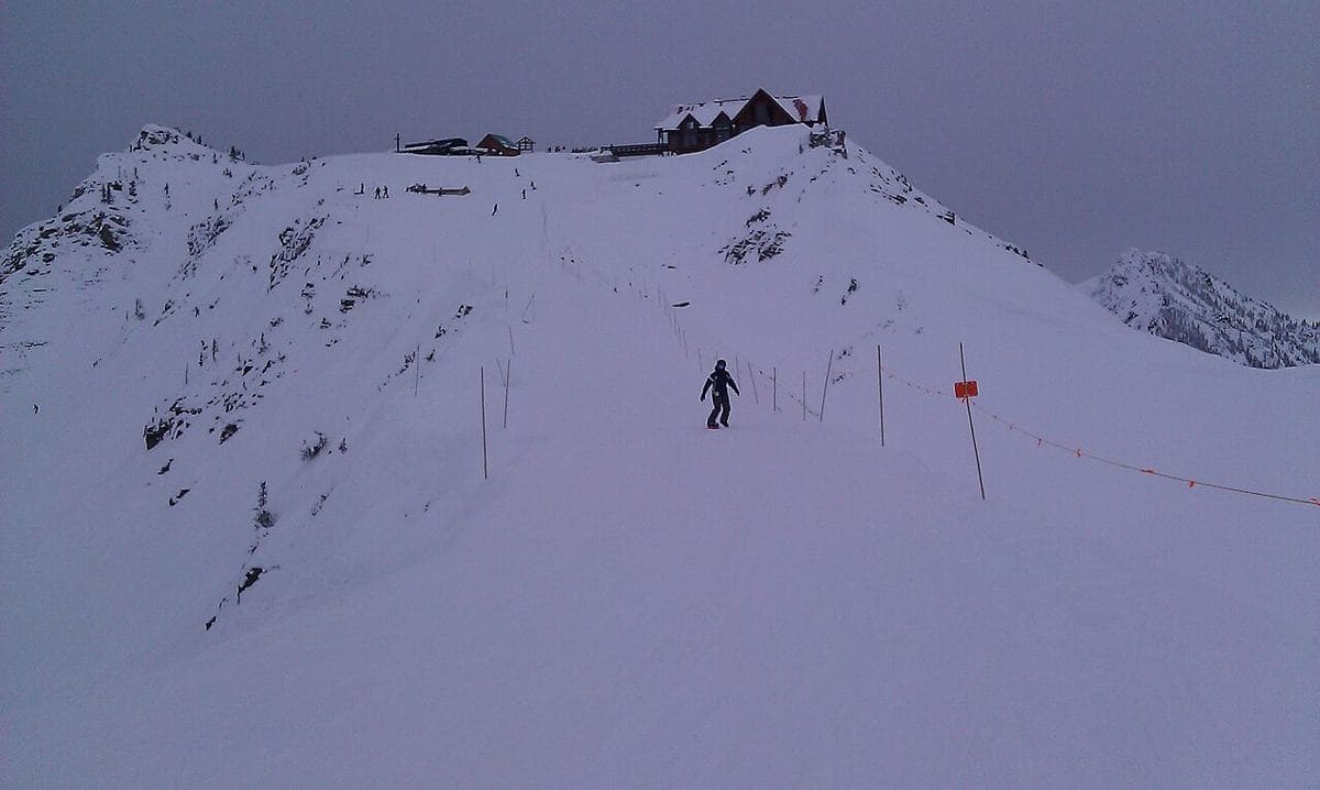 Kicking Horse